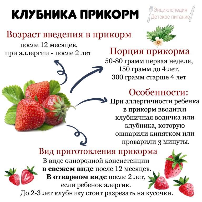 Какие ягоды можно ребёнку | уроки для мам