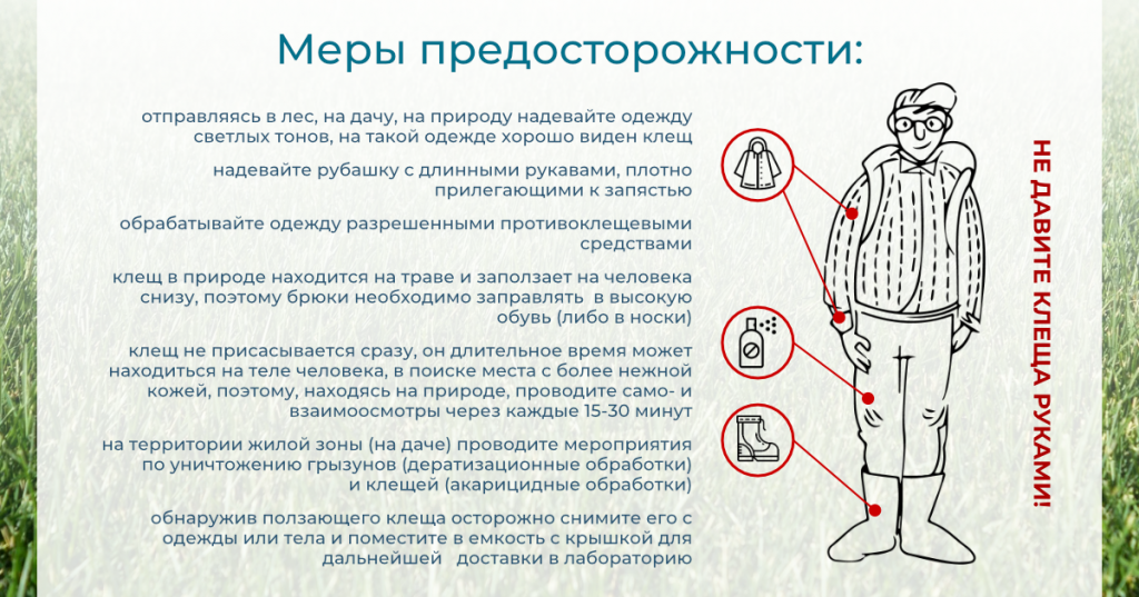 Как защититься от клещей на природе, как они нападают на человека и чем их отпугнуть?