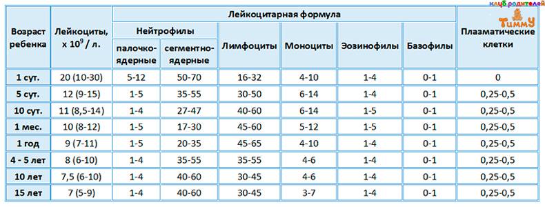 Моноциты выше нормы. в чем причина? * клиника диана в санкт-петербурге