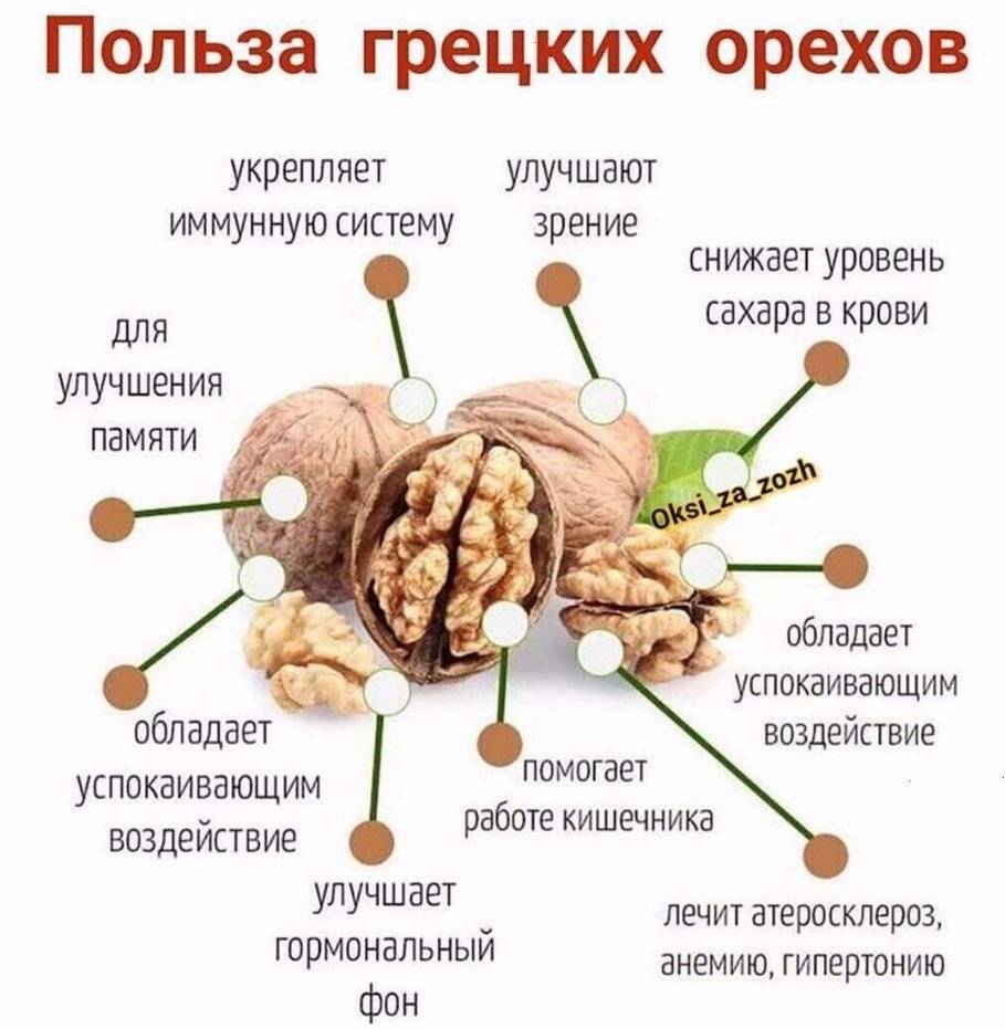 Полезны ли грецкие орехи для кормящей мамы