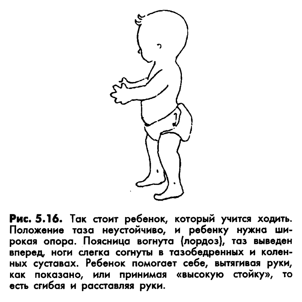 Во сколько месяцев ребенок начинает ходить: нормы и сроки