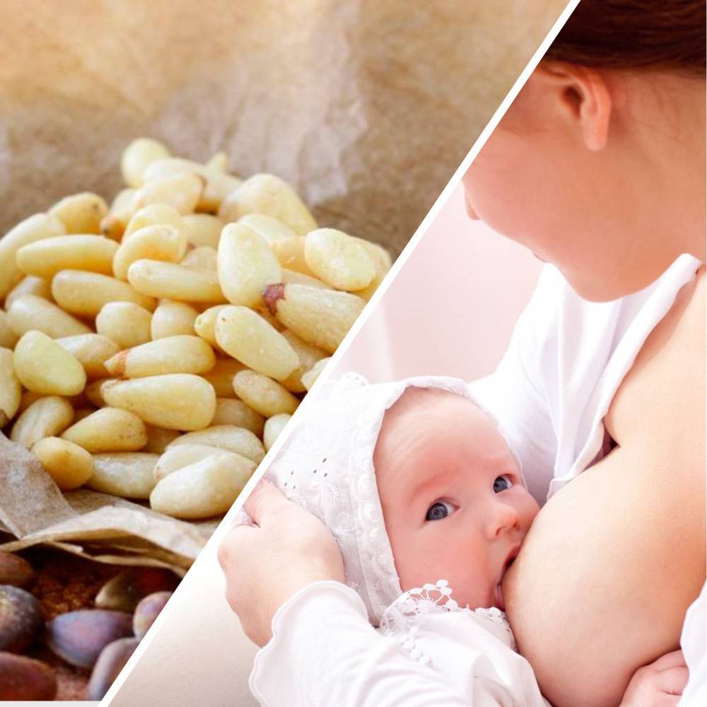 Можно ли орехи при грудном вскармливании новорожденного?