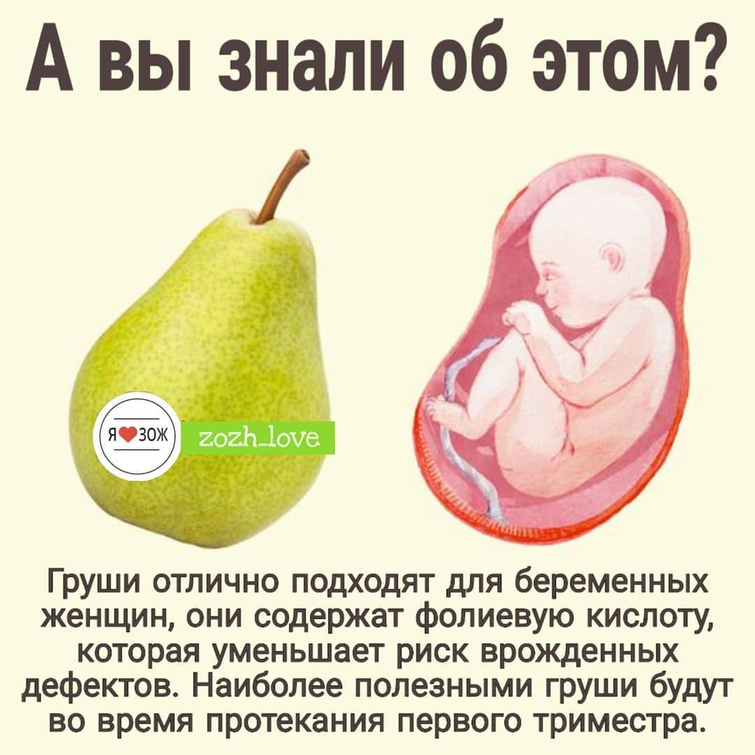 Груши при беременности: достоинства и недостатки фрукта
