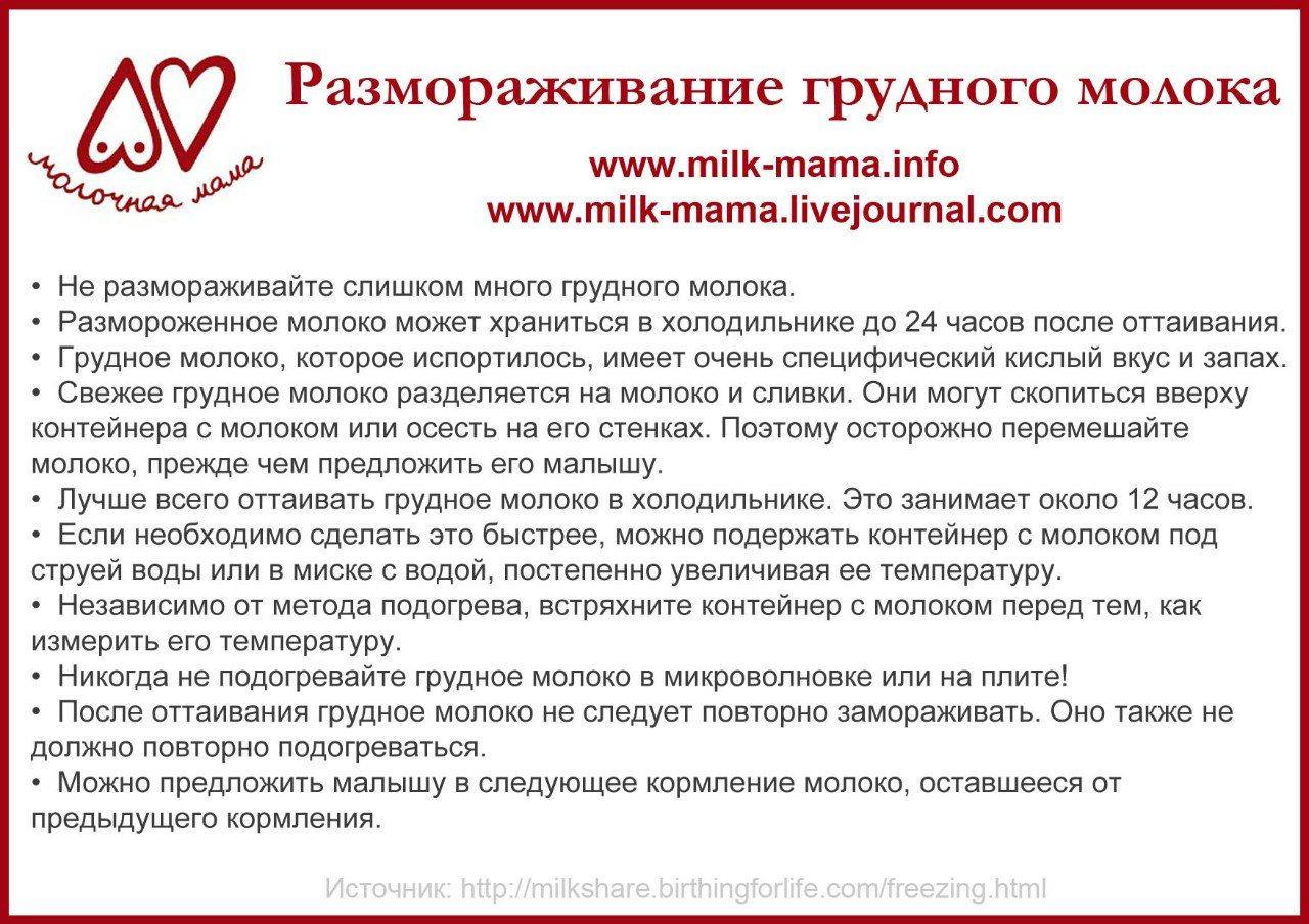 Как сберечь самый ценный продукт: учимся хранить грудное молоко