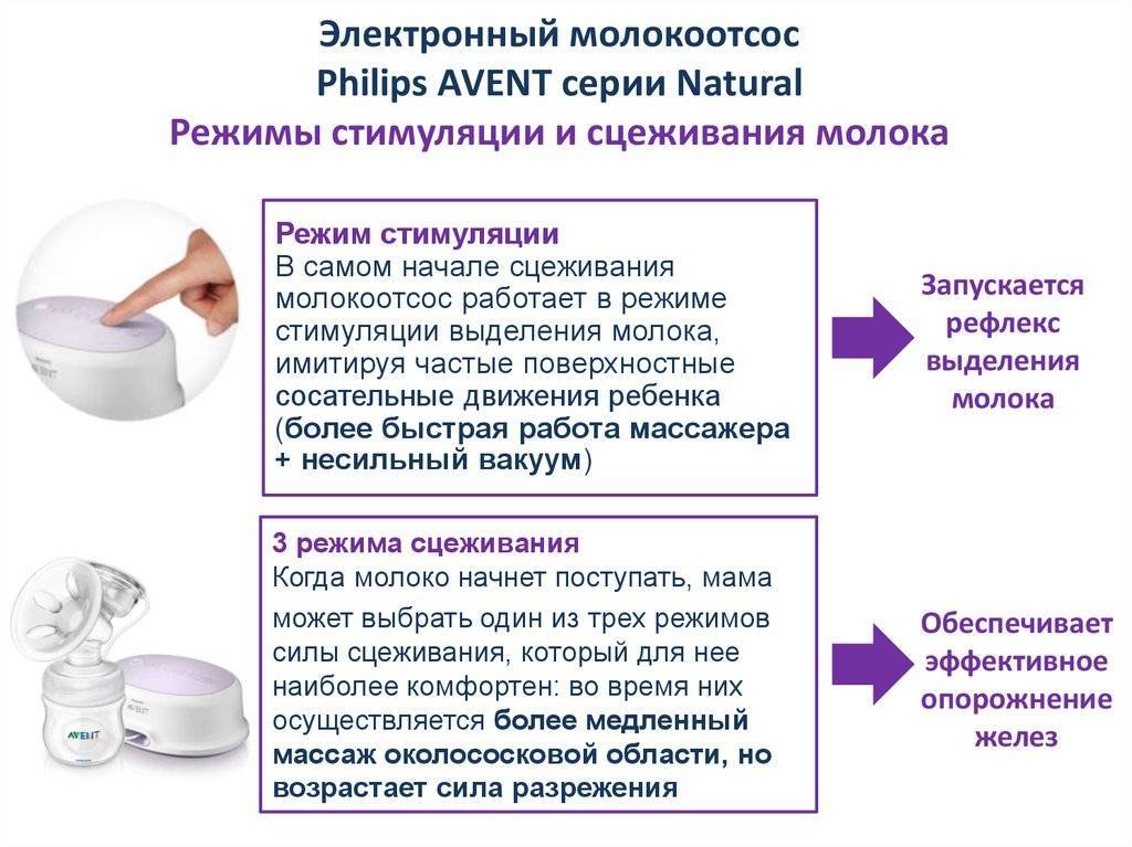 Как сцедить молоко руками правильно? :: syl.ru