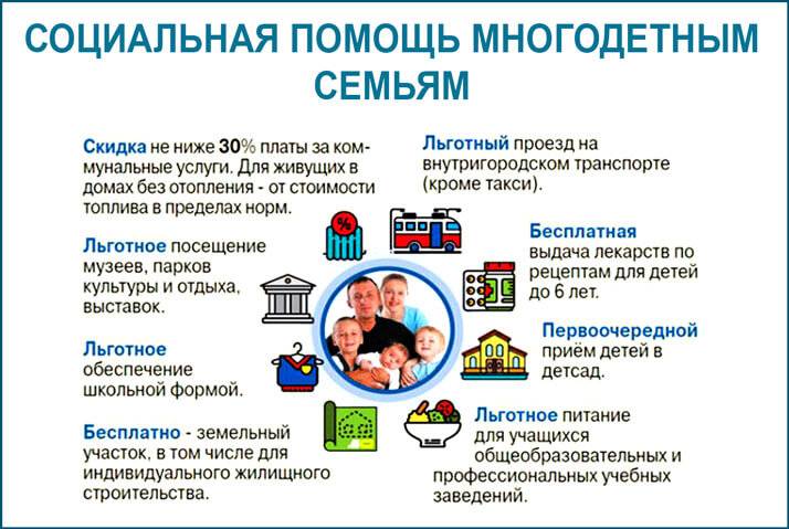 Льготы, права и привилегии многодетных семей в россии