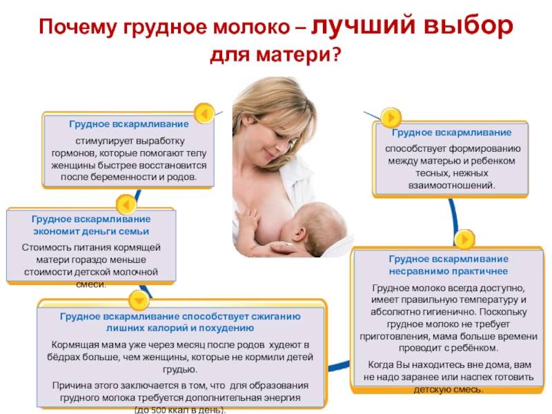 Способы завершения грудного вскармливания - agulife.ru