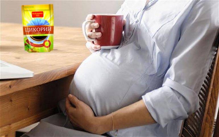 Цикорий при беременности на ранних и поздних сроках, рецепты и отзывы