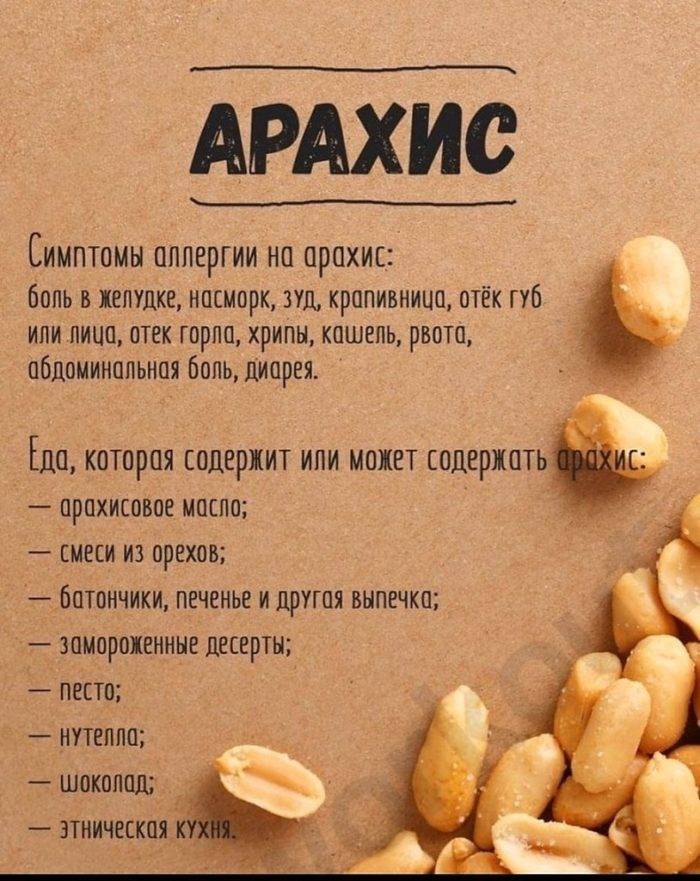 Арахис при грудном вскармливании: польза или вред