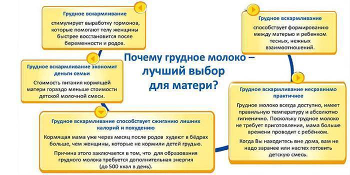 Польза и вред грудного вскармливания