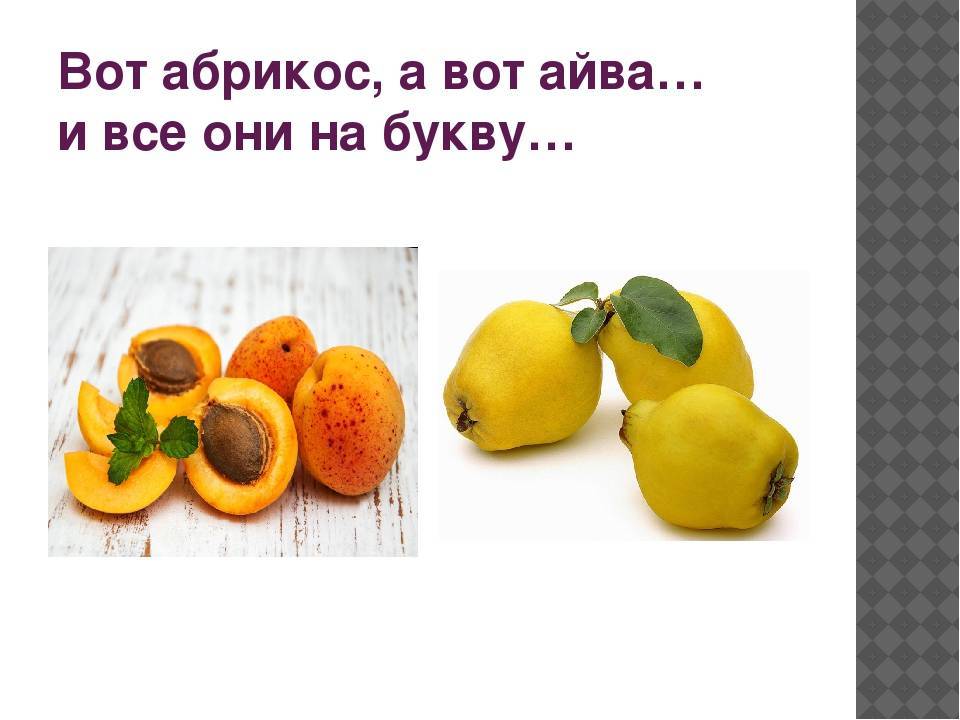 В чем польза и вред айвы для мужчин, женщин и детей?