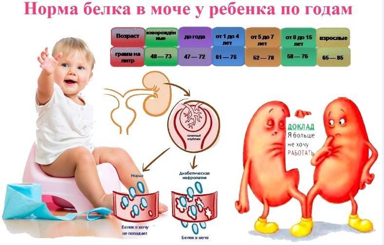7 причин повышения белка в моче у ребенка