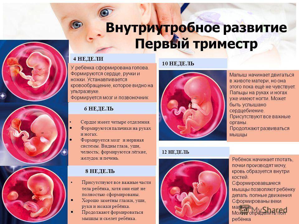 Пульсирует живот при беременности: классификация по причинам, как избавиться от пульсации /