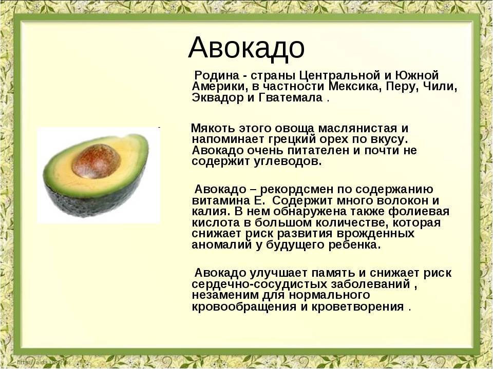 В каком возрасте можно давать ребенку авокадо?