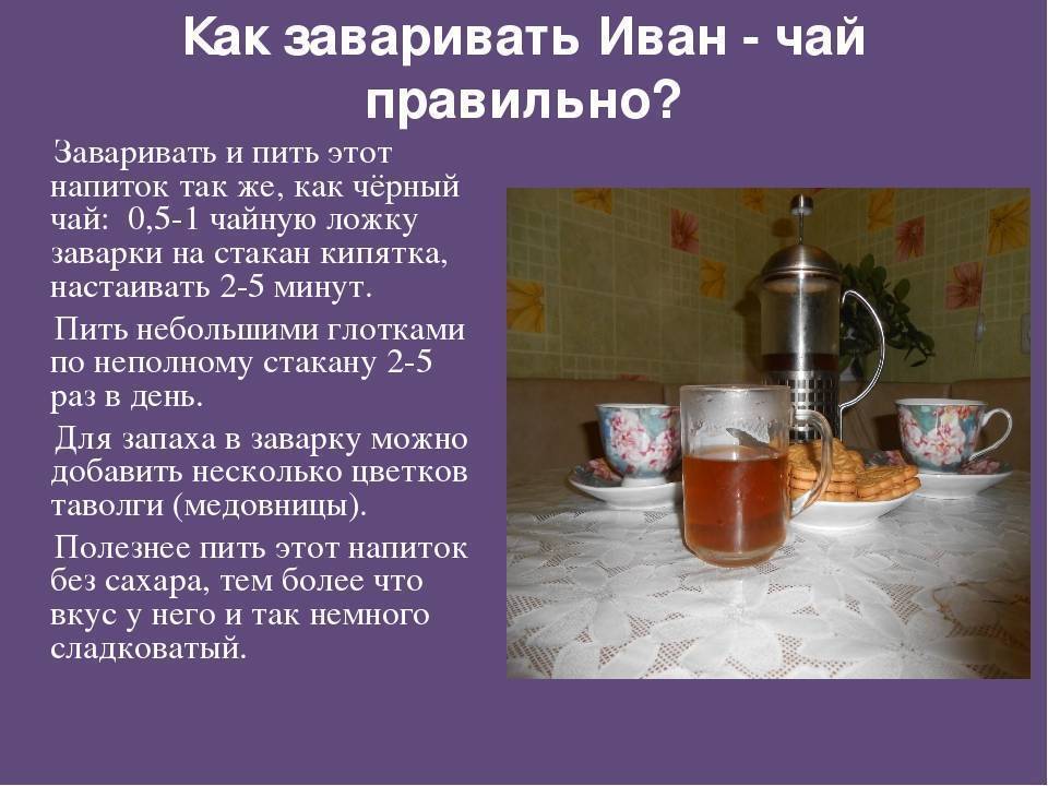 Иван-чай при грудном вскармливании: можно ли кормящей маме
