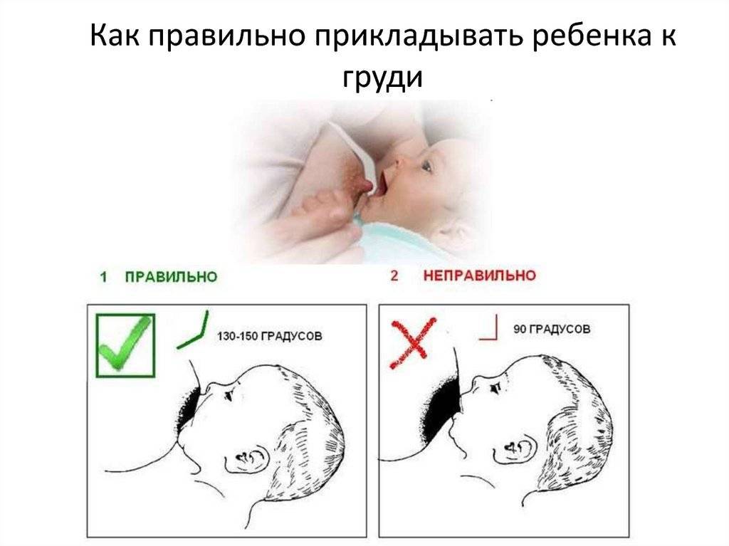 Правильное прикладывание к груди / mama66.ru