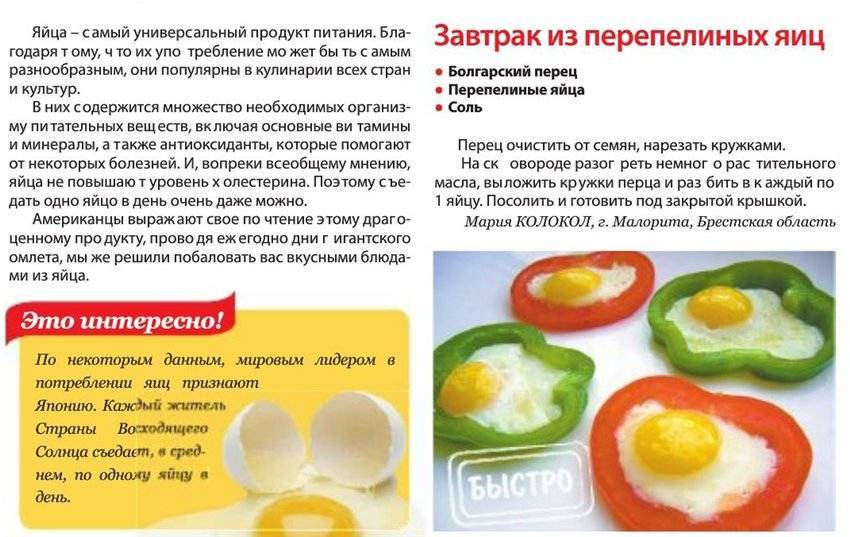С какого возраста можно давать омлет из куриных яиц ребенку, рецепт и противопоказания