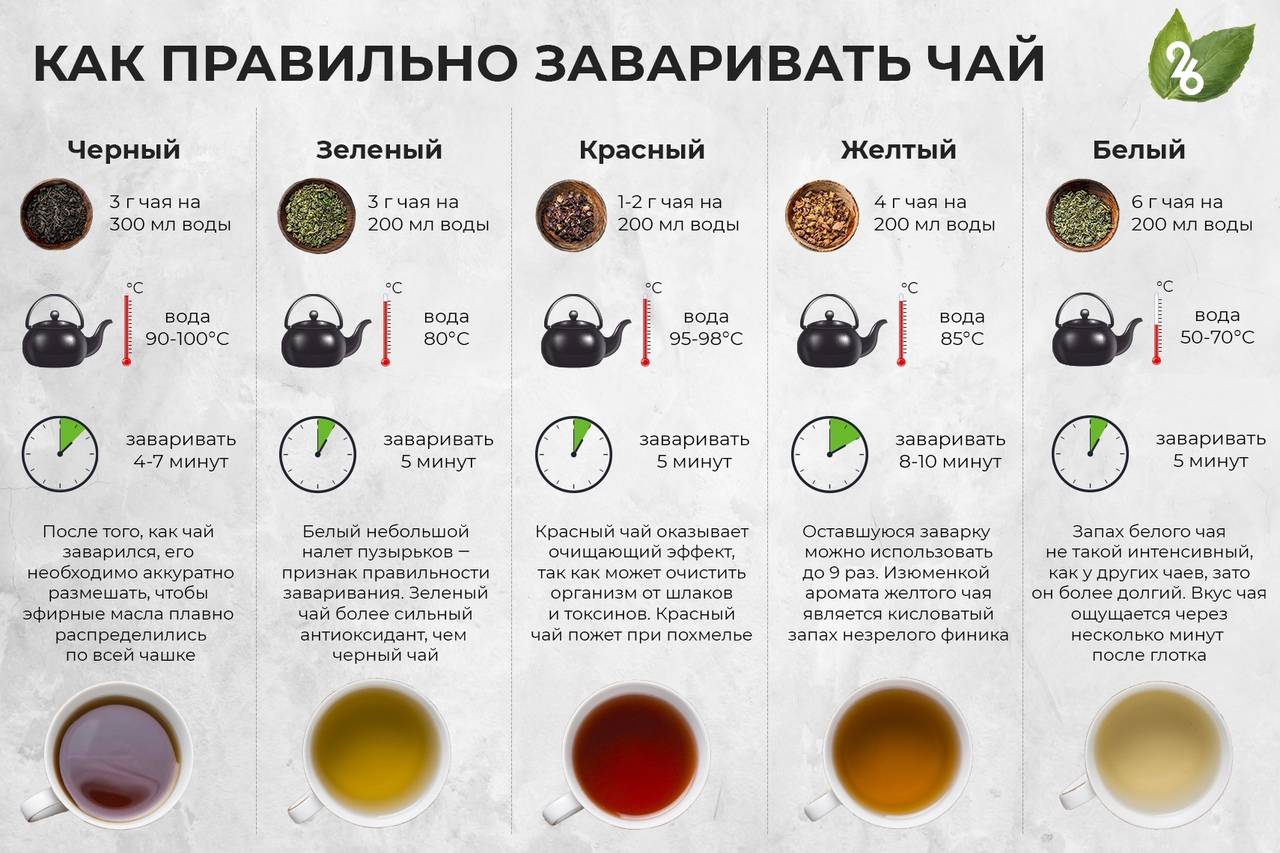 Иван-чай: лечебные свойства и советы экспертов