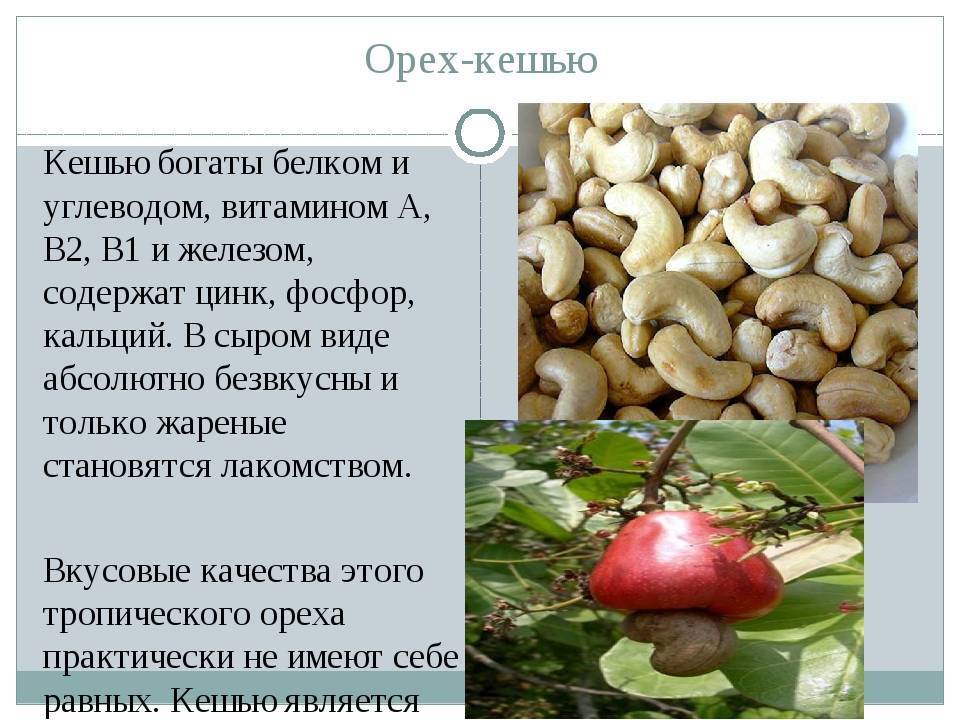 Кешью при грудном вскармливании: в чем польза