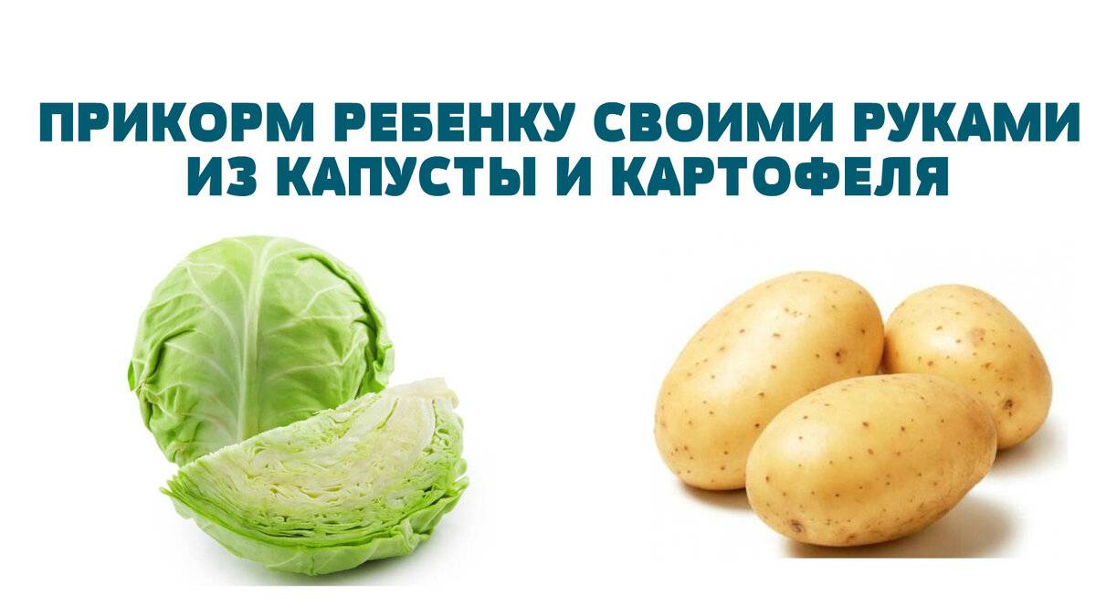Когда можно давать картошку. Картофель в прикорме ребенка. Картошка в прикорм грудничку. Картофель для первого прикорма.