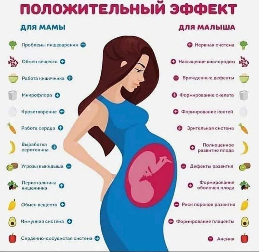 Как правильно питаться во время беременности | какую еду следует избегать беременным