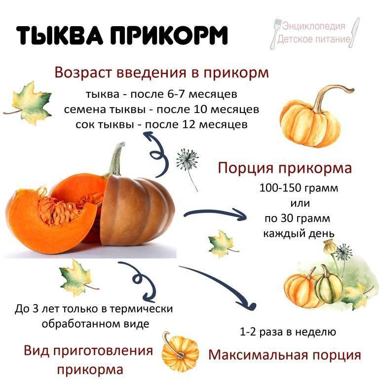 Введение прикорма: морковь- энциклопедия детское питание