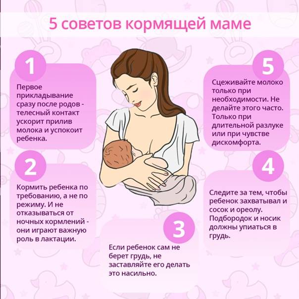 Можно ли кормить грудью при беременности: плюсы и минусы и противопоказания