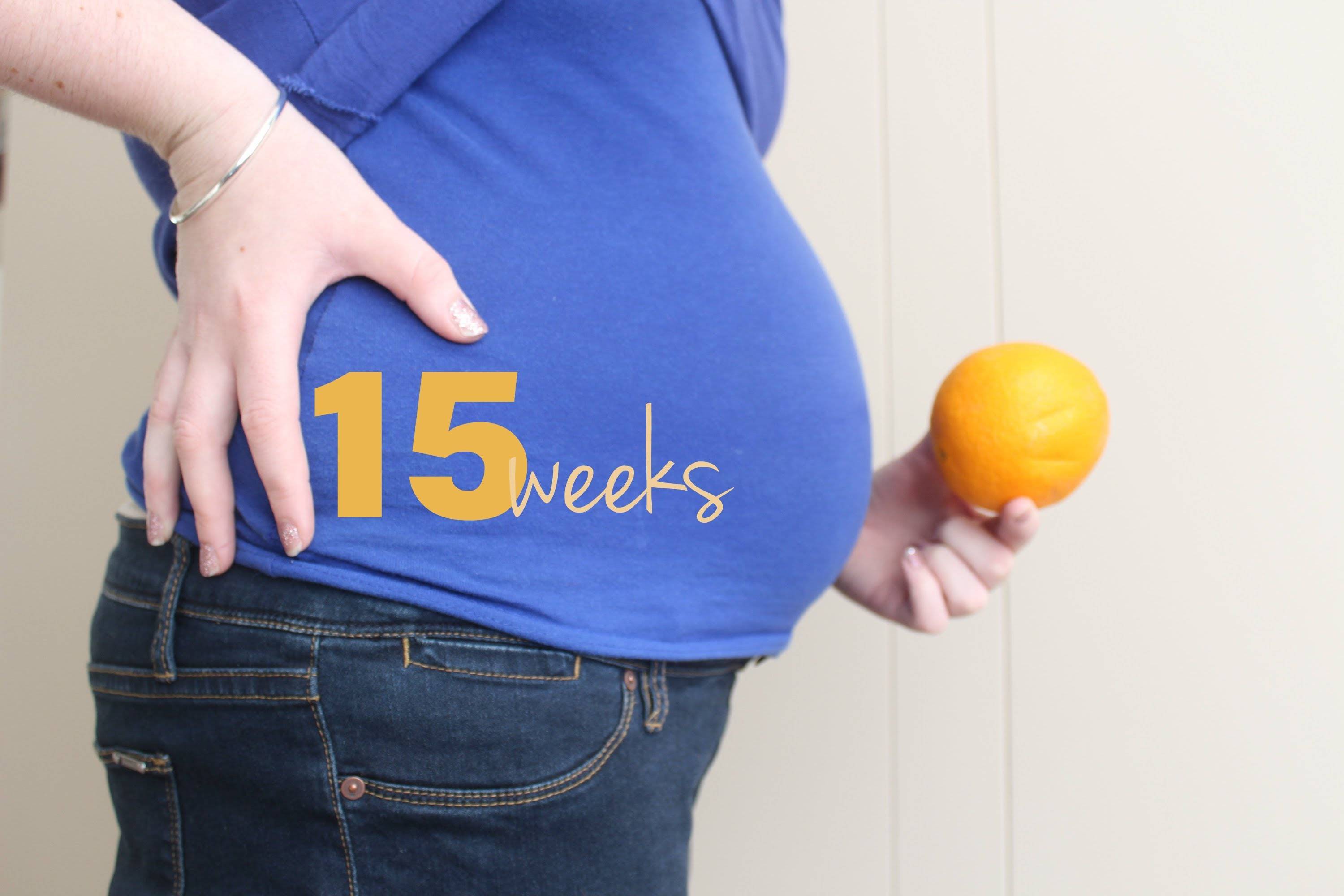 Беременность 15 мм. 15 Недель беременности. Беременность 15инедель. Ребёнок на 15 неделе беременности. Беременные женщины.
