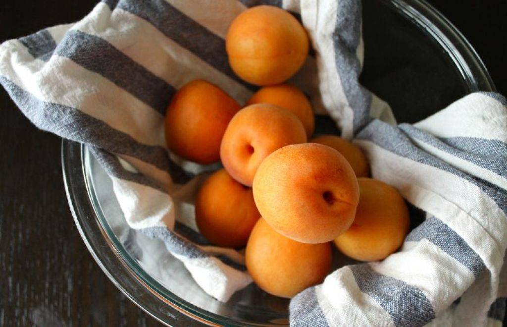 Абрикос — полезные свойства, состав и калорийность, лучшие сорта. рецепты с абрикосами