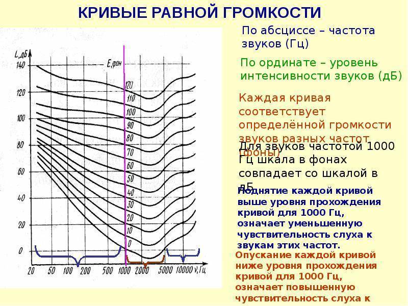 Тест на биологический возраст по частоте звука. Кривая громкости. Кривые уровня громкости. Кривых равной громкости. Оценка уровня громкости.