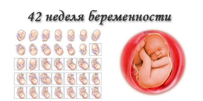 40, 41 и 42-я недели беременности: особенности, подготовка к родам