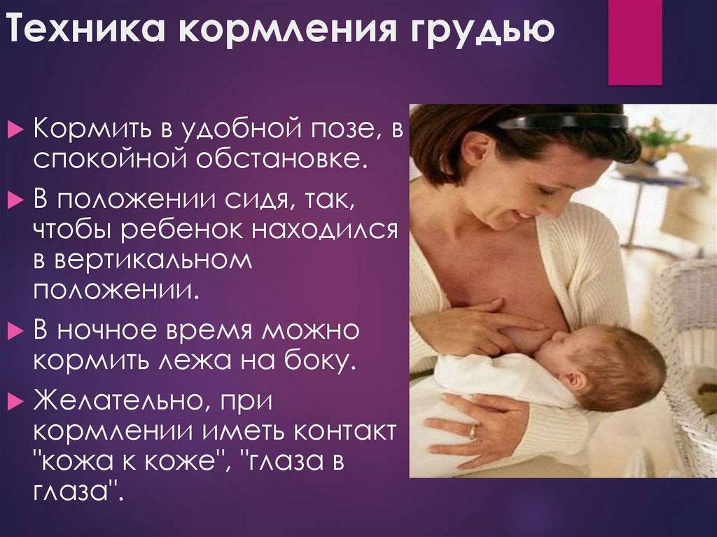 Правила кормления новорожденного грудным молоком — 6 главных правил от эксперта из личного опыта