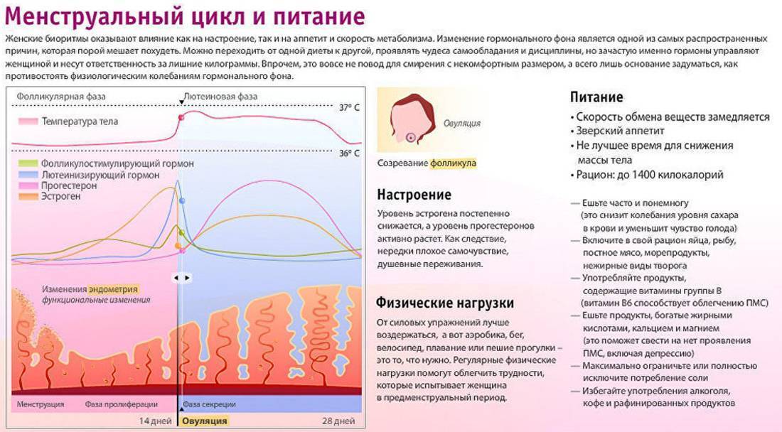 Причины задержки менструаций во время лактации
