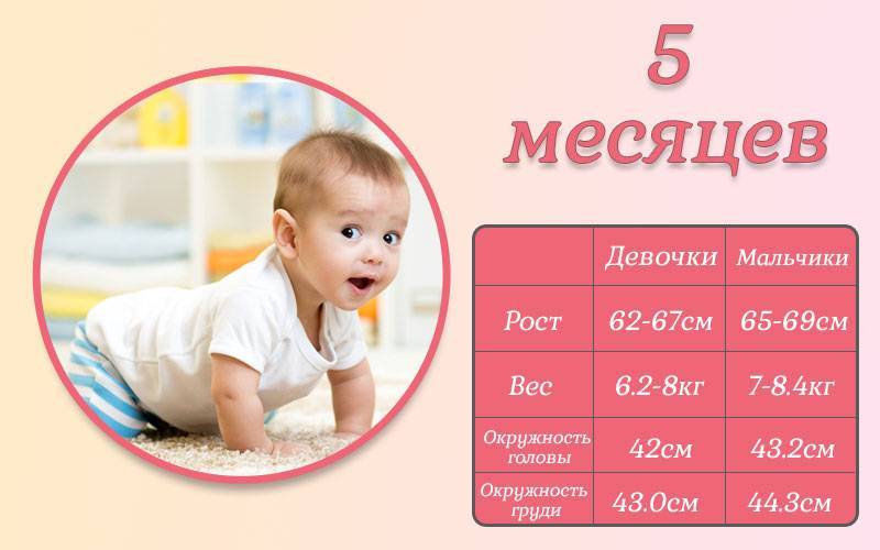 Все о развитии ребенка: месяц пятый   | материнство - беременность, роды, питание, воспитание