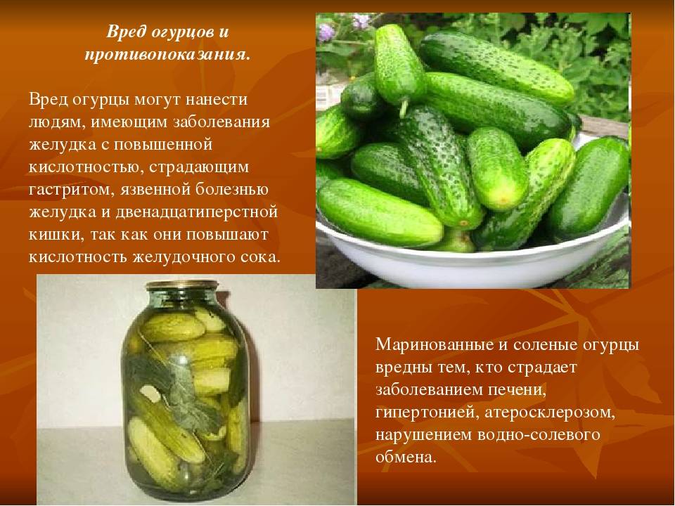 Огурцы при грудном вскармливании: можно ли свежие и соленые кормящей маме