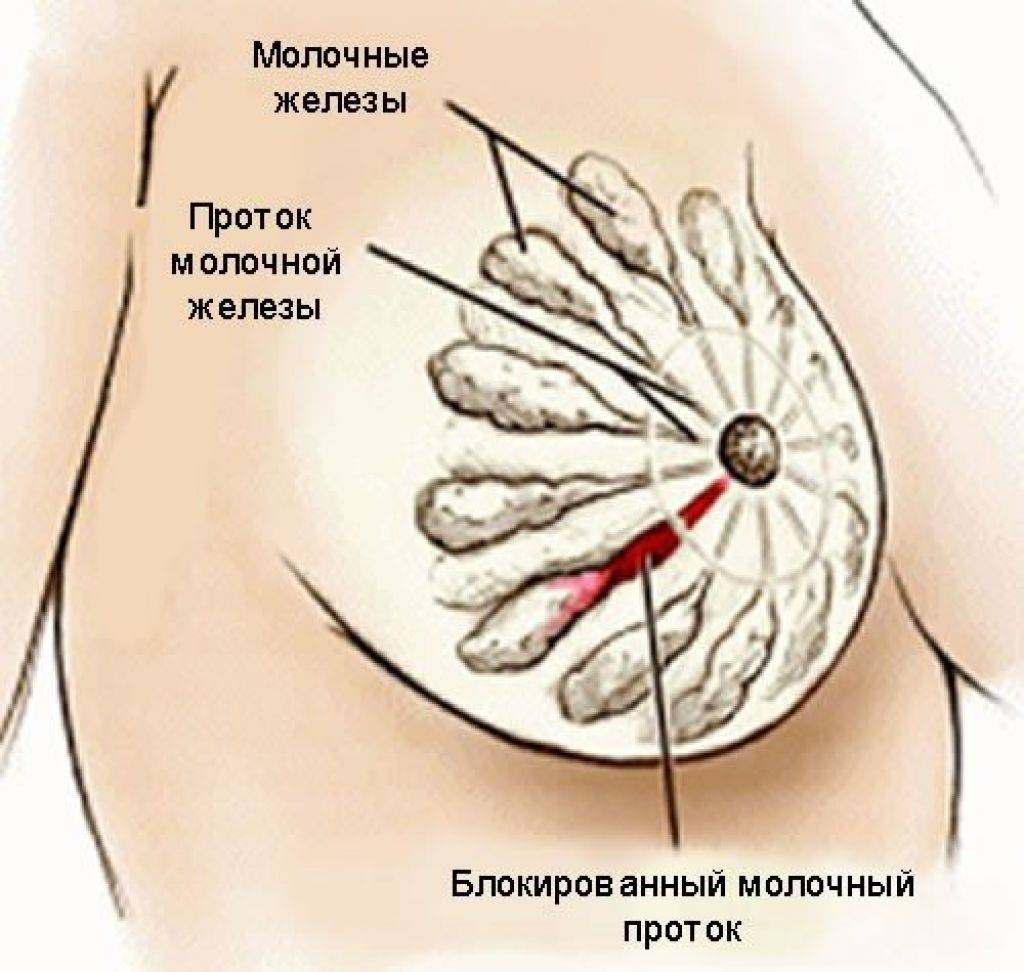 Прыщи, бугорки и уплотнения на половых органах: причины и лечение