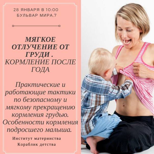 Как отучить ребенка от грудного вскармливания