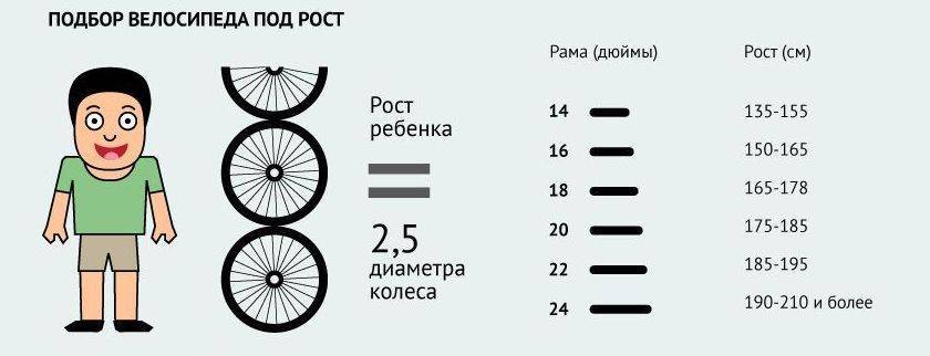 Как выбрать велосипед для ребенка (правильно подобрать по росту)