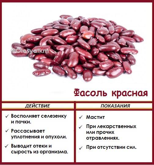 Можно ли стручковую и консервированную фасоль при грудном вскармливании?