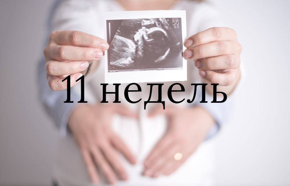 Токсикоз на 11 неделе. 11 Недель беременности. Ребёнок на 11 неделе беременности. 10-11 Недель беременности.