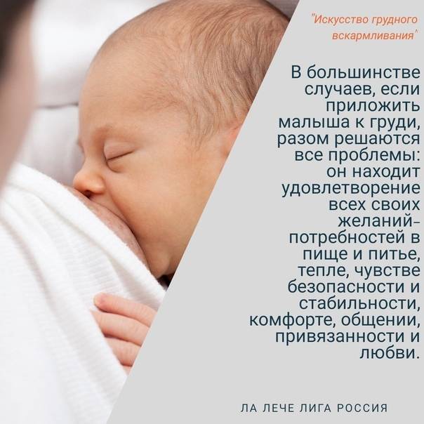 Вы уверены, что достаточно знаете про грудное вскармливание новорожденных в первые дни?