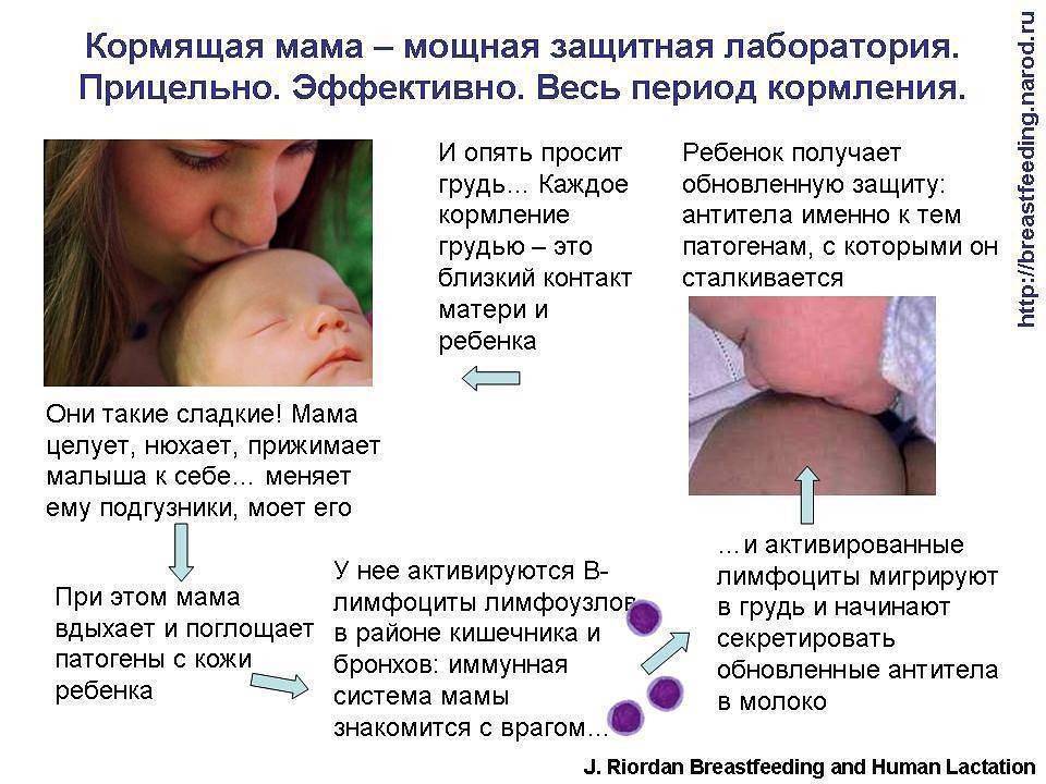 Кормление грудью во время болезни матери или ребёнка