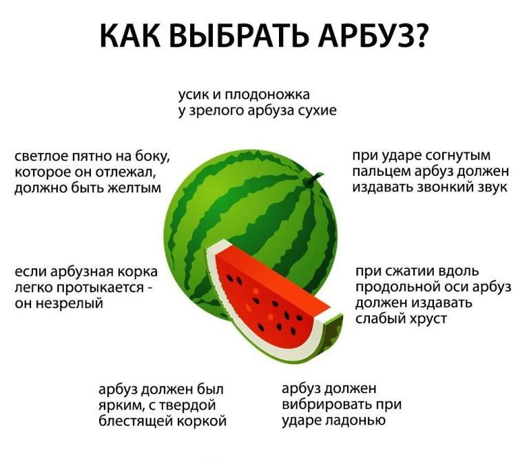 Стоит ли кормящей маме ограничивать себя в употреблении арбуза?