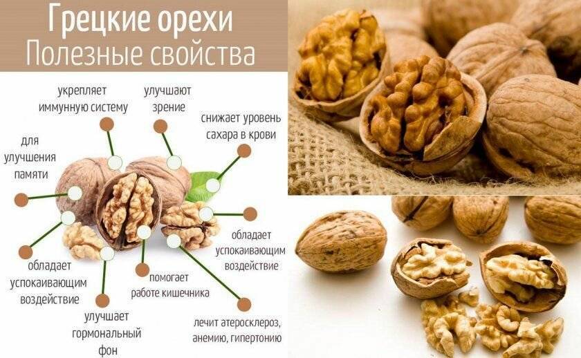 Какие орехи можно кушать кормящей маме при грудном вскармливании: составляем список безопасных орешков при лактации