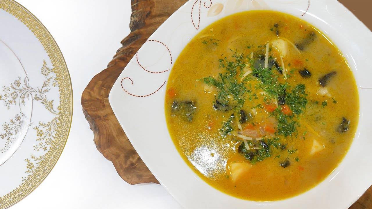 Какие супы можно кушать при грудном вскармливании: вкусные и полезные рецепты для кормящих мам