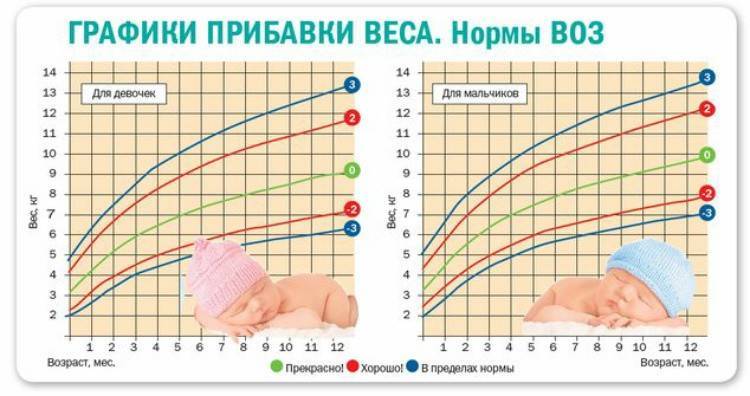Месяцев первые изменения. Норма прибавки веса у новорожденных по месяцам таблица. Нормы воз по весу ребенка до года на грудном вскармливании. Нормы набора веса для новорожденных по месяцам таблица. Норма прибавки по месяцам у новорожденных воз.