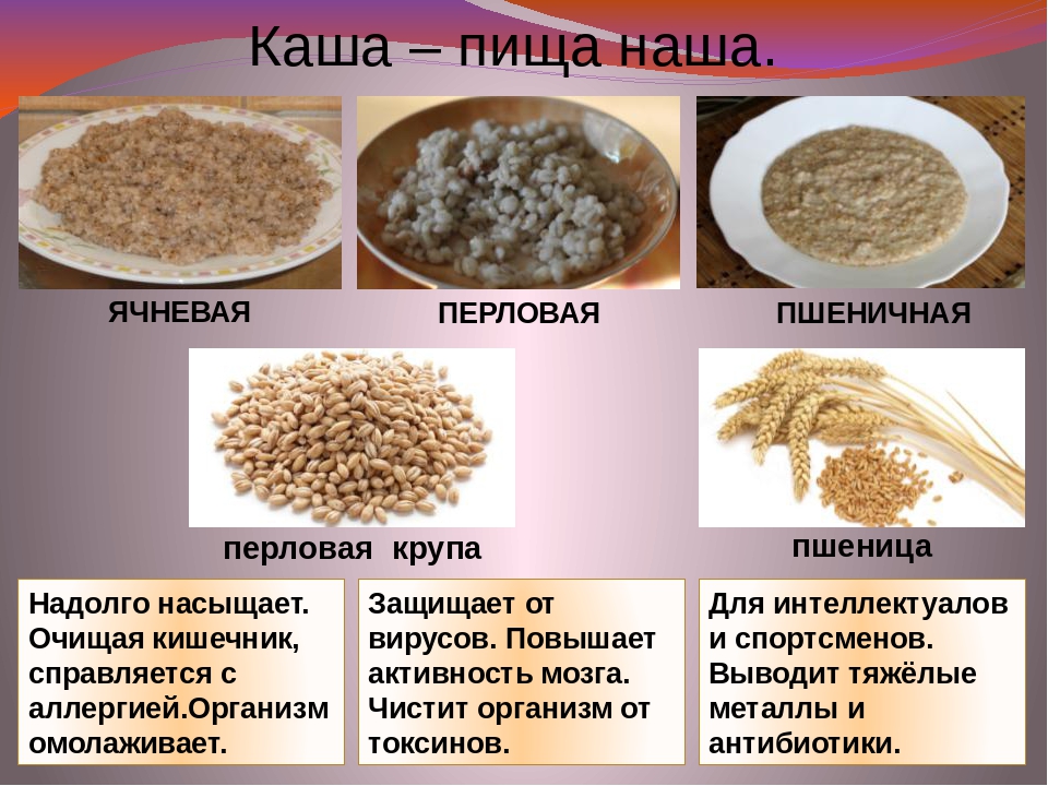 Перловая каша свойства. Каша пища наша. Ячневая крупа. Каша пища наша презентация. Полезные крупы.