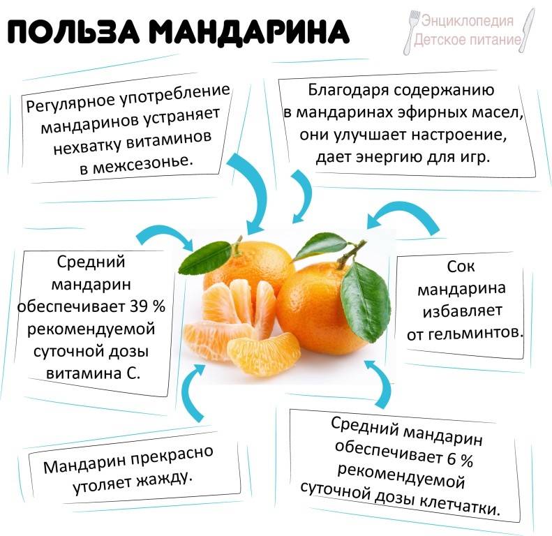 Кашель от мандаринов. Мандарины польза. Чем полезны мандарины. Полезные свойства мандаринов. Что полезного в мандаринах.