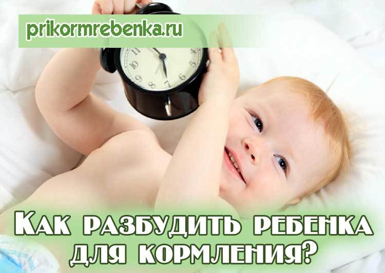 ????ответ эксперта: нужно ли будить новорожденного для кормления? ???? какие нюансы следует учитывать в процессе создания графика кормления для новорожденного малыша?