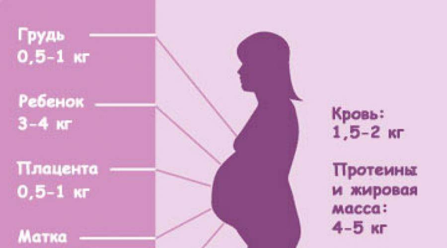 Психология младенца, или четвертый триместр беременности. как успокоить малыша.
